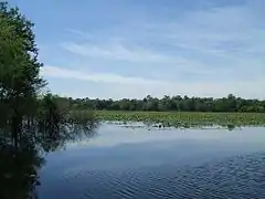 View from north shore