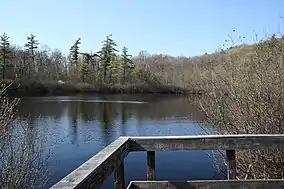 Kettle bog waters