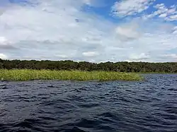 Lake Pithlachocco Canoe Site