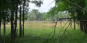 Lake Somerville State Park, Lee County (May 2019).