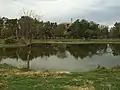 A pond in the Park