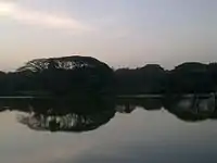 Evening View of the Lake