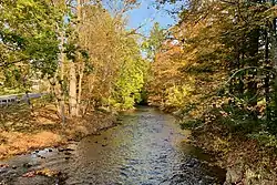 Lamington River by Lower Mill site