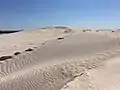 Lancelin sand dunes