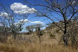 Kruger National Park.