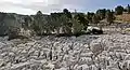 Limestone pavement of la Dent de Crolles.