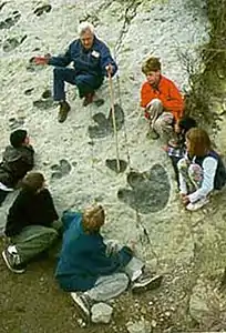 Dinosaur footprints along the Lariat Loop Scenic and Historic Byway