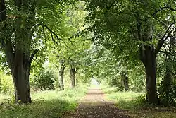 Park in Laski Koszalińskie