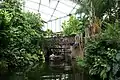 Inside Gondwanaland at Leipzig Zoological Garden