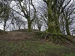 Northern embankments of the motte