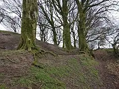 Northern embankments of the motte