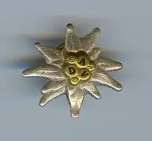 German Alpine Club logo pin.