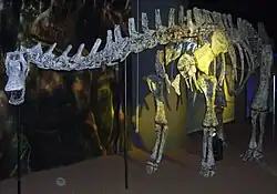 Limaysaurus