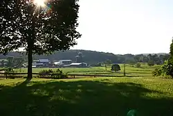 Dairy farm near Lisbon