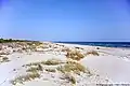 Monte Gordo Beach view towards East