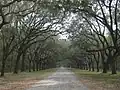 Oak avenue in winter, built early 1890s