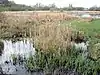 Weston Turville Reservoir