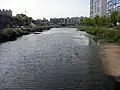 Downstream from the confluence with the Hakuicheon