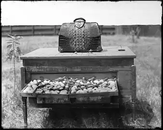 An incubator on an alligator farm