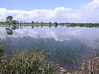 Lough Melvin