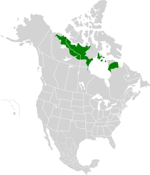 Ecoregion territory (in green)