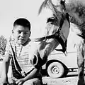 Lower Post Young boy with horse, 1971