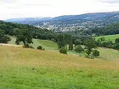 Lower slopes of Charlton Kings Common