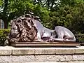 Sleeping lion