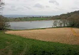 photo of water and trees