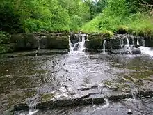 The Caaf Water running over limestone. A good site for rock-cut basins.