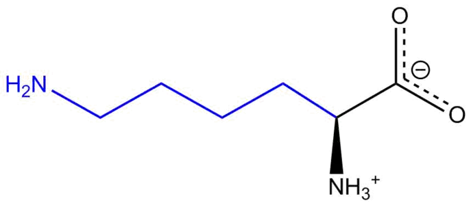 Lysine