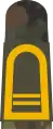 Obermaat BA(Navy senior mate boatswain aspirant, field uniform mounting strap)