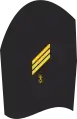 Navy Weapon Service (30th)