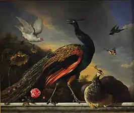 Peacocks, Male and Female (1681), oil on canvas, 1,30 x 1,30 cm., Petit Palais, Musée des Beaux-Arts de la Ville de Paris