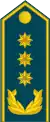 Генерал потполковникGeneral potpolkovnik(North Macedonia Air Brigade)