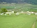 Machrie Moor Stone Circle, Arran