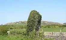 Maenaddwyn standing stone