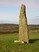 Maen Hir or Standing Stone, Nr. Menai Bridge. - geograph.org.uk - 106762.jpg