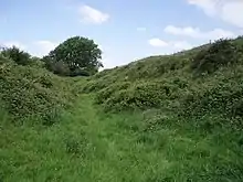 Maesbury Castle small multivallate hillfort