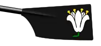 Image showing the rowing club's blade colours