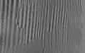 Magnetic domains and domain walls in oriented silicon steel (image made with CMOS-MagView)