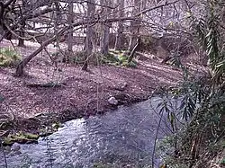 Majaceite river at El Bosque