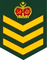 Staf sarjan(Malaysian Army)