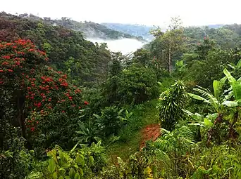 Mountains and clouds in Mameyes Arriba