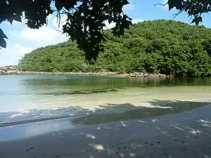 Mandahl Bay Salt Pond