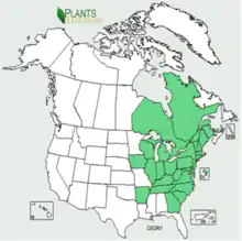 Map of Oriental bittersweet distribution