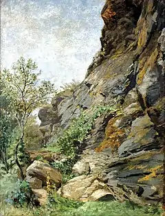 Rocks