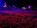 Massed tulips at Floriade at night