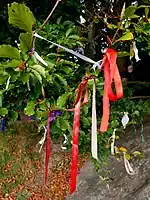 A close-up image of tree branches on which have been affixed a wide range of small, brightly coloured pieces of cloth