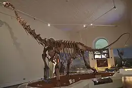 Maxakalisaurus